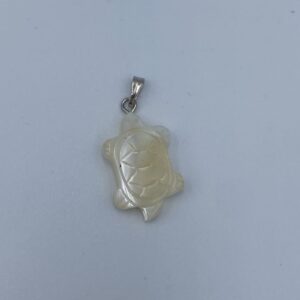 ΔΙΑΚΟΣΜΗΤΙΚΑ ΧΕΛΩΝΙΤΣΑ ΦΙΛΤΙΖΙ 2.5CM ΥΨΟΣ
