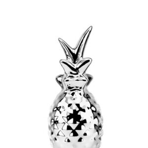 ΜΠΟΜΠΟΝΙΕΡΑ ΑΝΑΝΑΣ ΚΕΡΑΜΙΚΟΣ ΑΣΗΜΙ Φ4X10CM